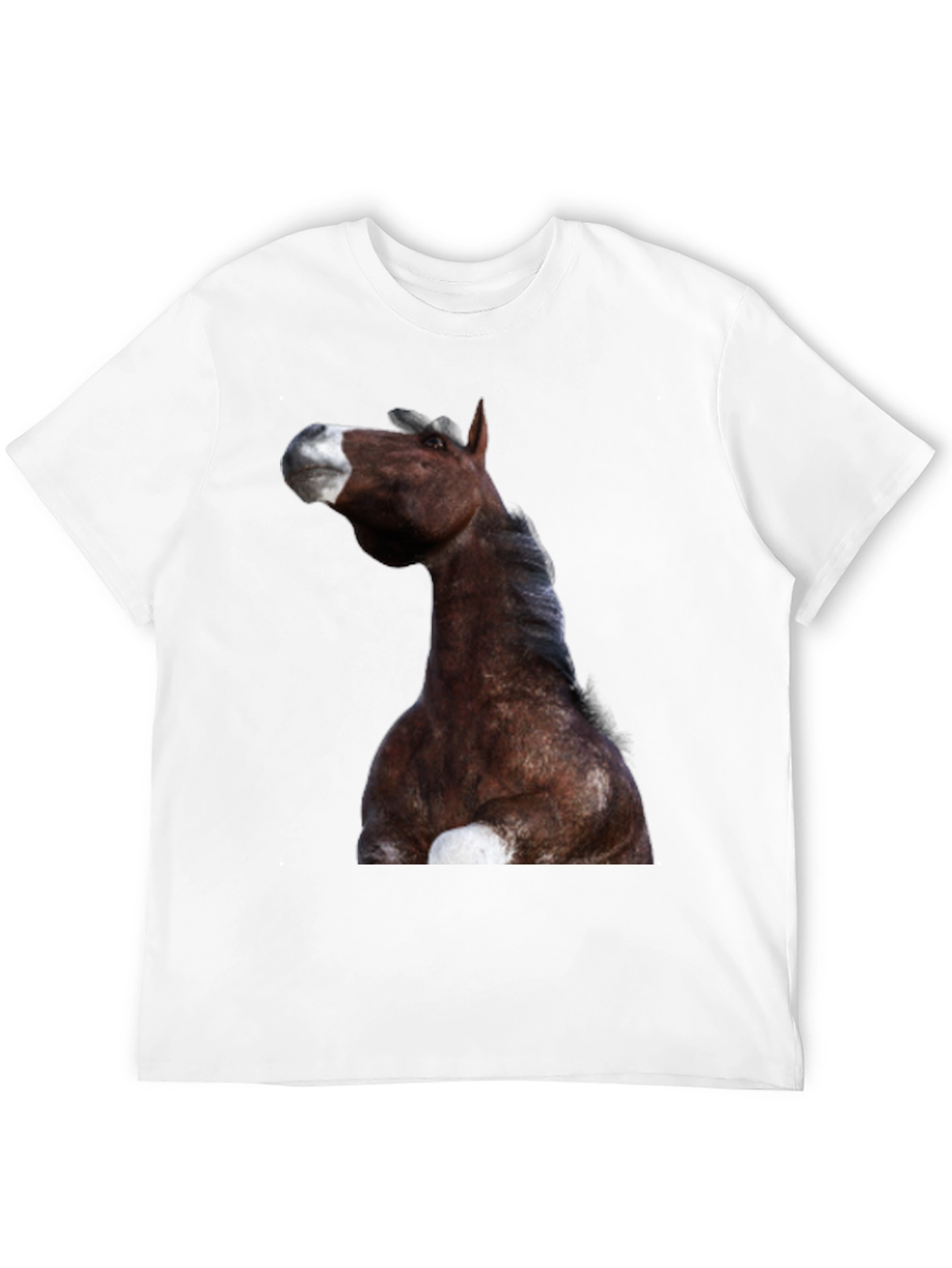 Horse Graphic Black T-Shirt | Equestrian Style