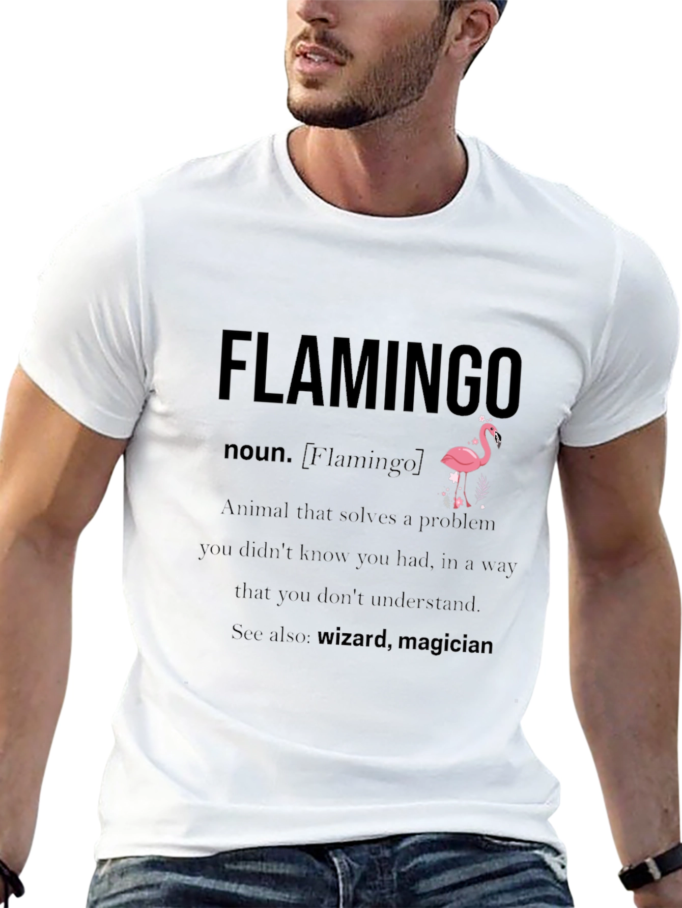 Humorous Flamingo Definition Graphic Tee