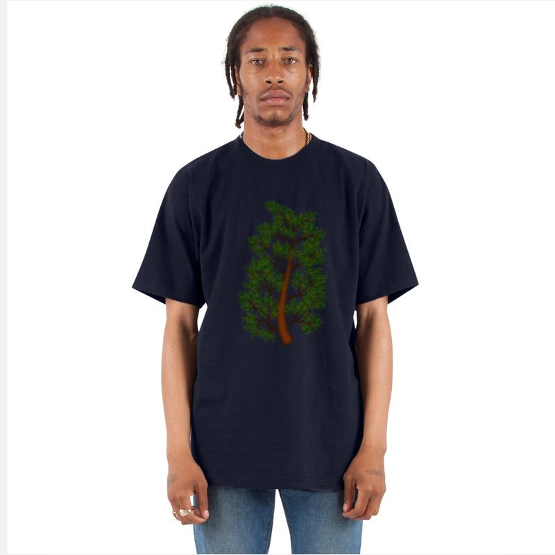 Pine tree branch