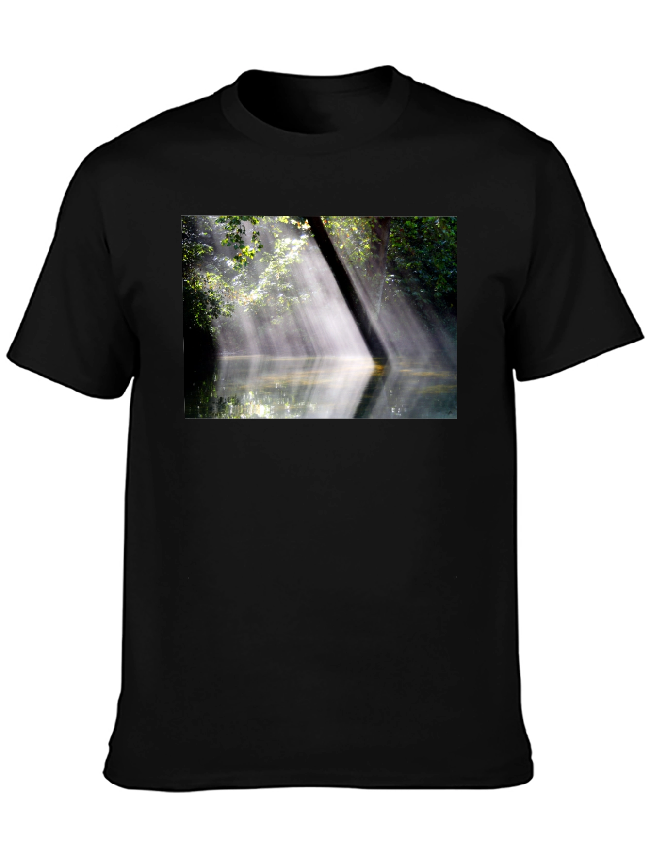 Natures Embrace Tee - Sunlit Forest Design