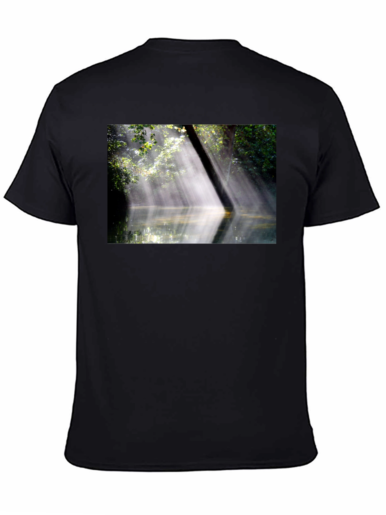 Natures Embrace Tee - Sunlit Forest Design