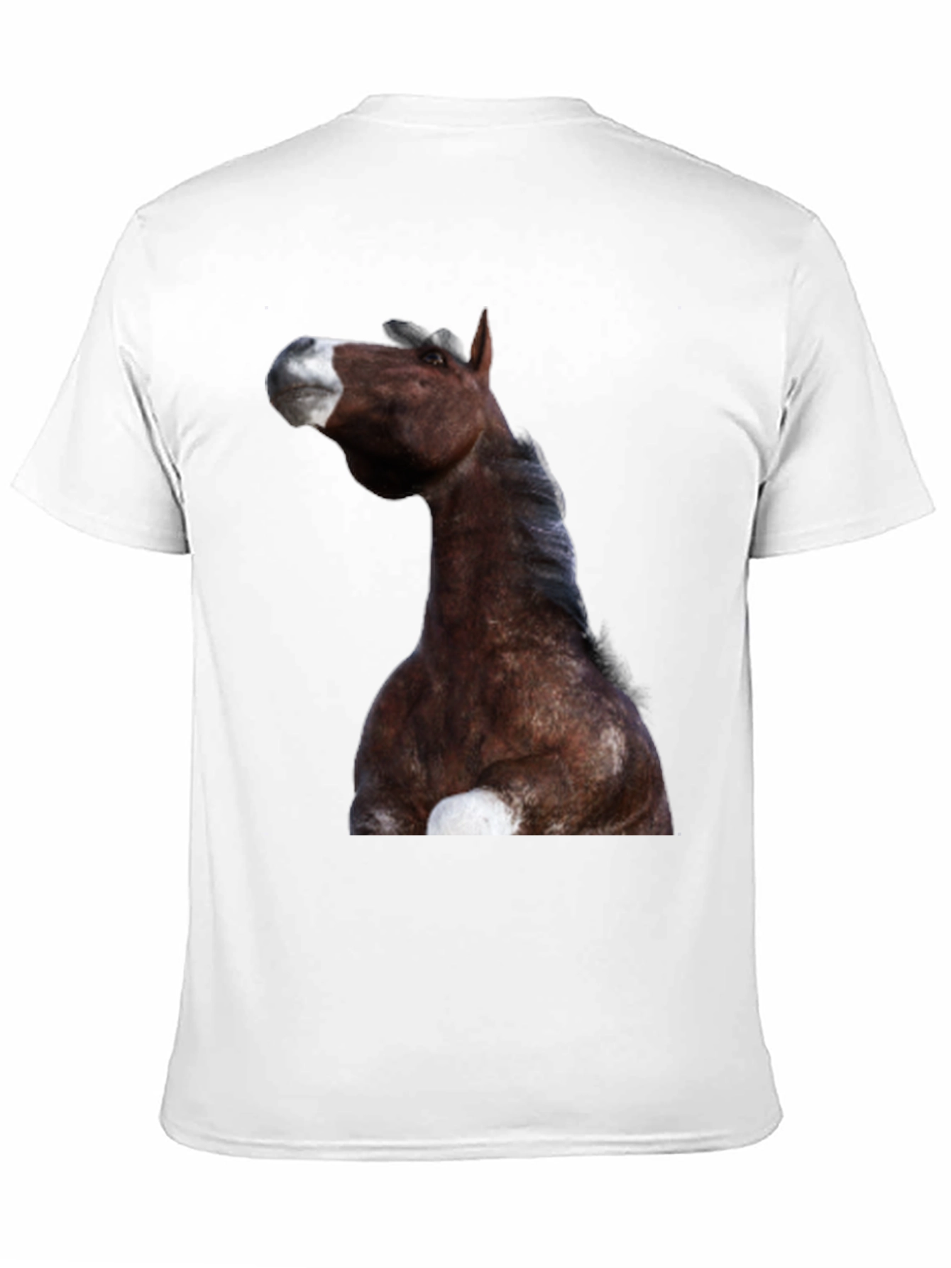 Horse Graphic Black T-Shirt | Equestrian Style