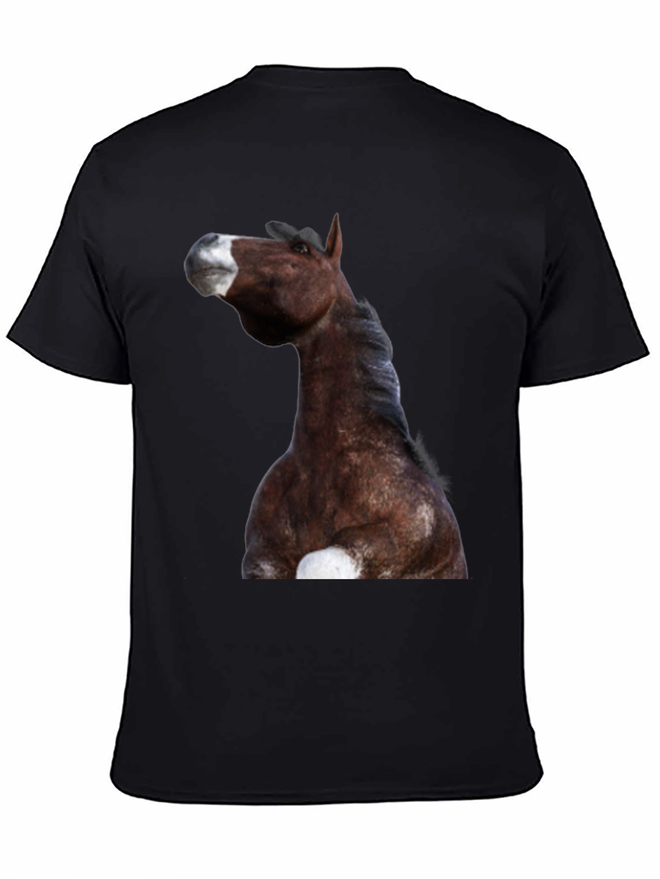 Horse Graphic Black T-Shirt | Equestrian Style