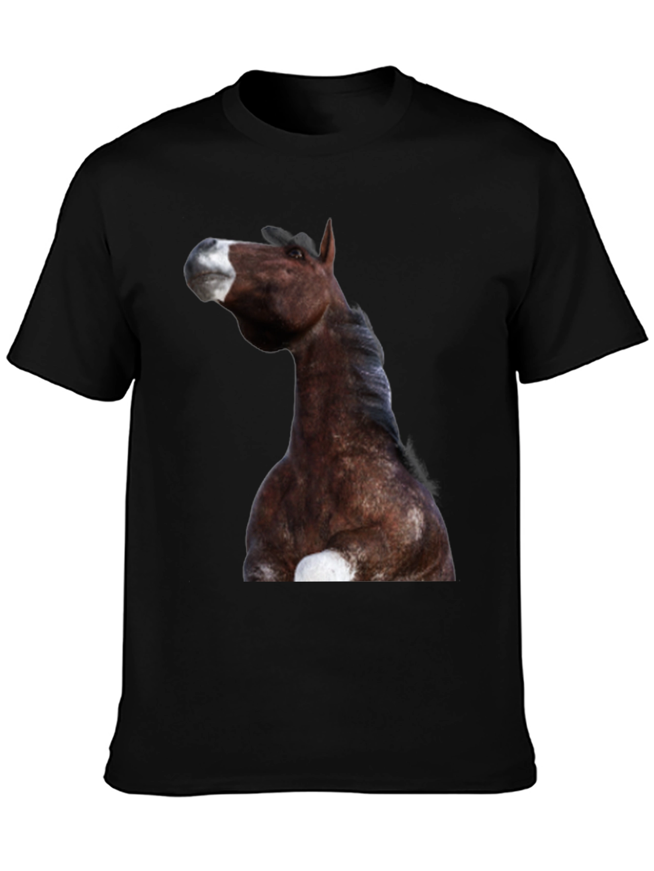 Horse Graphic Black T-Shirt | Equestrian Style