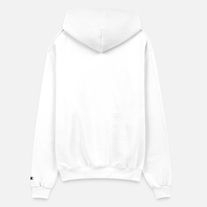 Dragon With Wings Medieval Fantasy Style