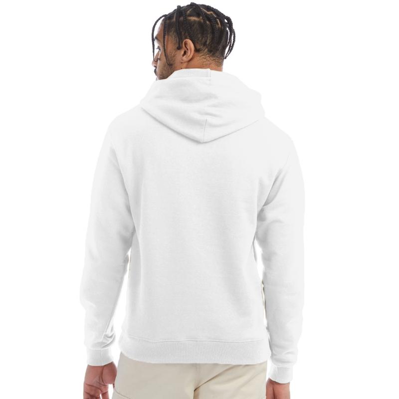 Dragon With Wings Medieval Fantasy Style