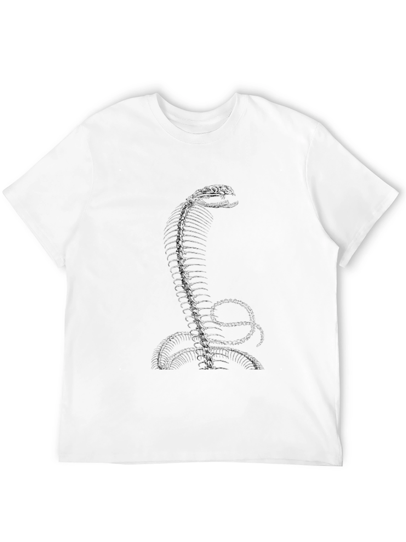 Cobra Snake Spine Graphic Tee - Black