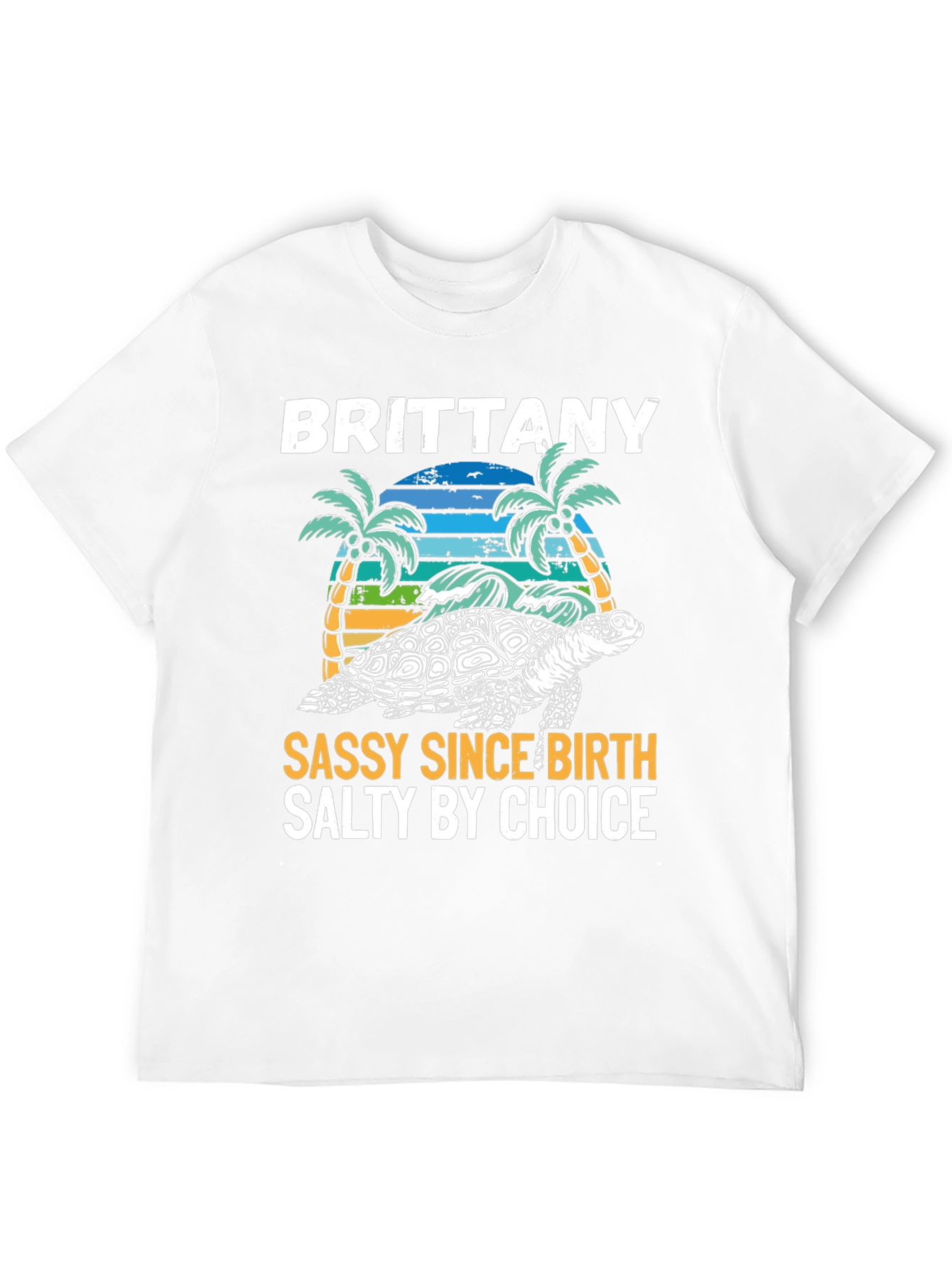 Brittany Turtle Sassy & Salty Graphic Tee