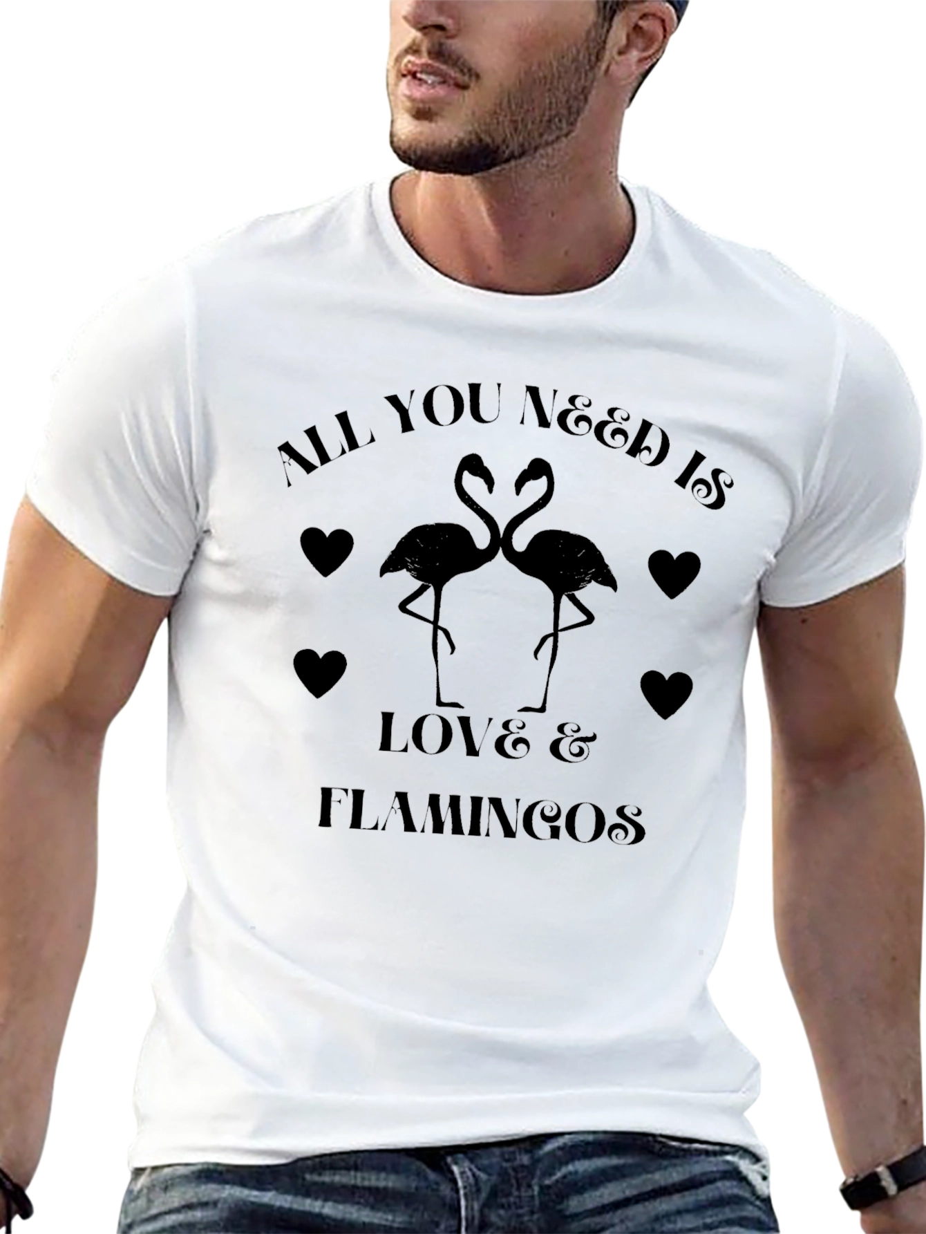 All You Need is Love & Flamingos T-Shirt