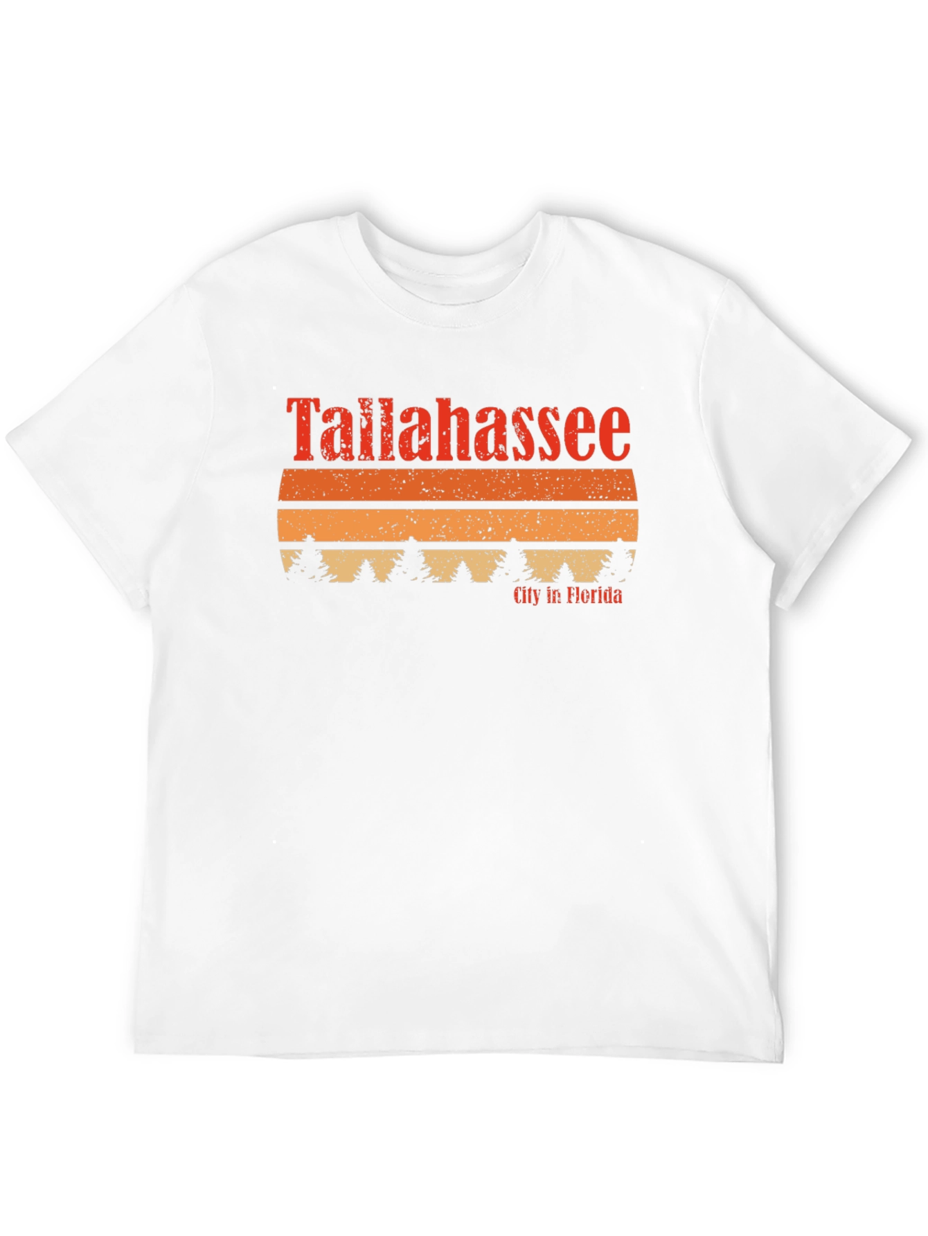Tallahassee Florida Retro T-Shirt