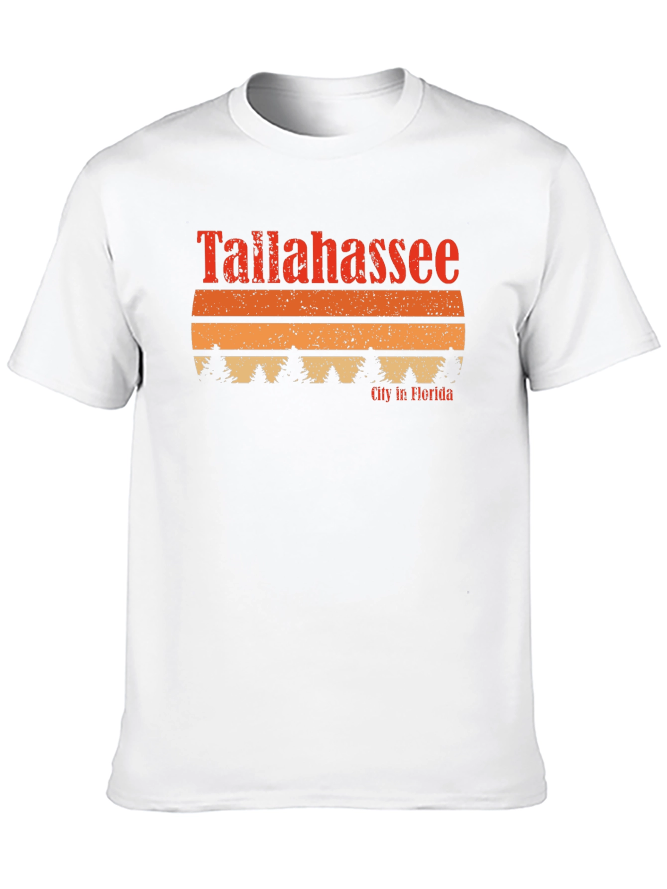 Tallahassee Florida Retro T-Shirt