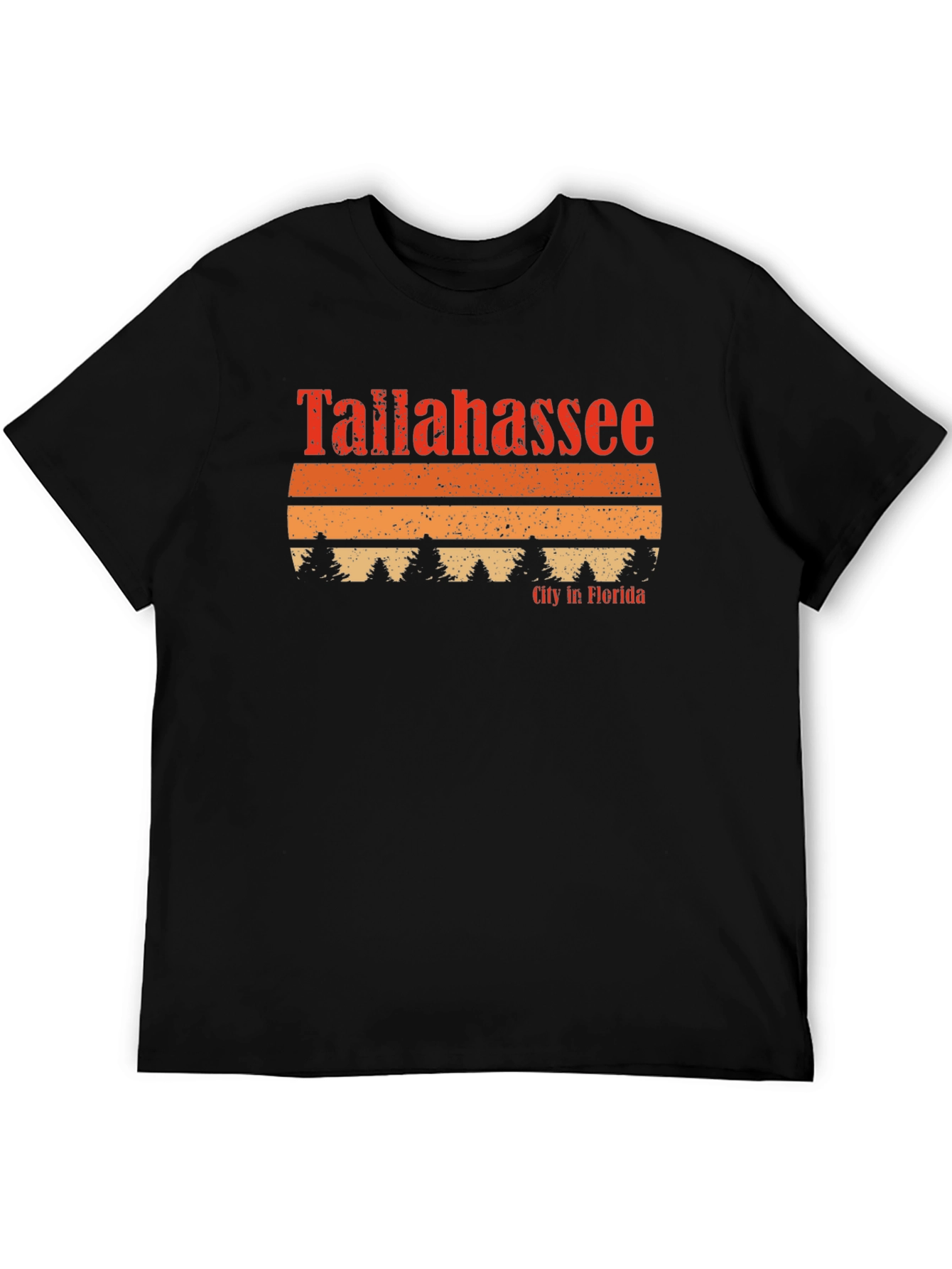Tallahassee Florida Retro T-Shirt