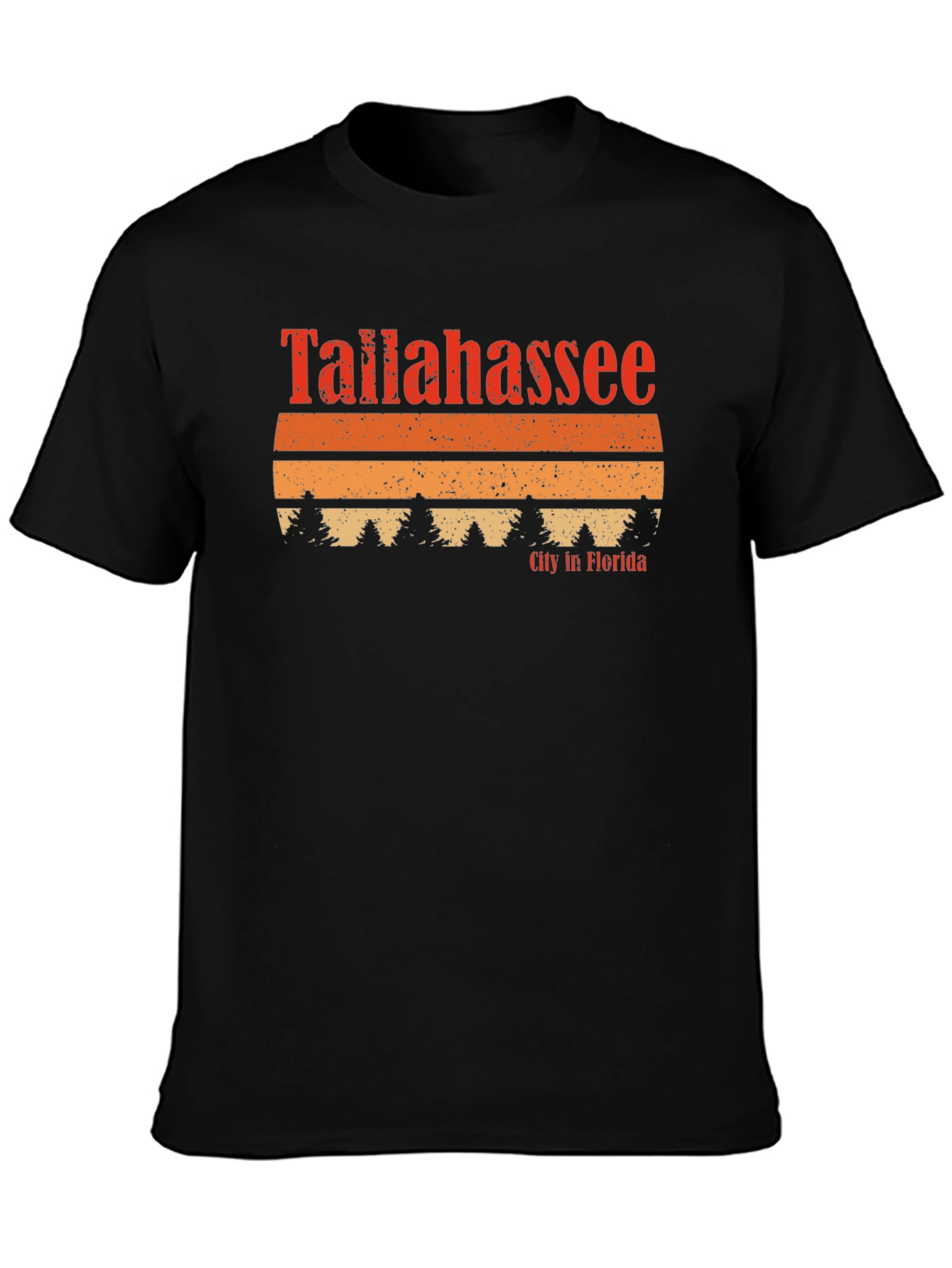 Tallahassee Florida Retro T-Shirt