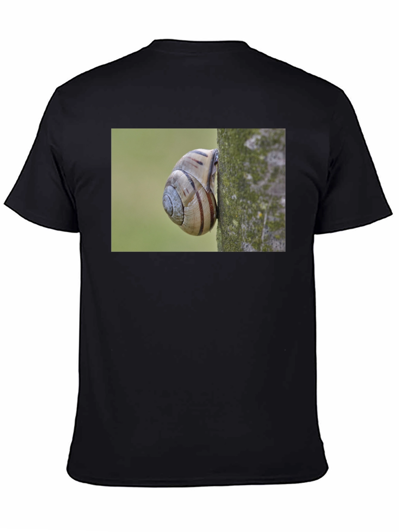 Snail on Tree Black T-Shirt