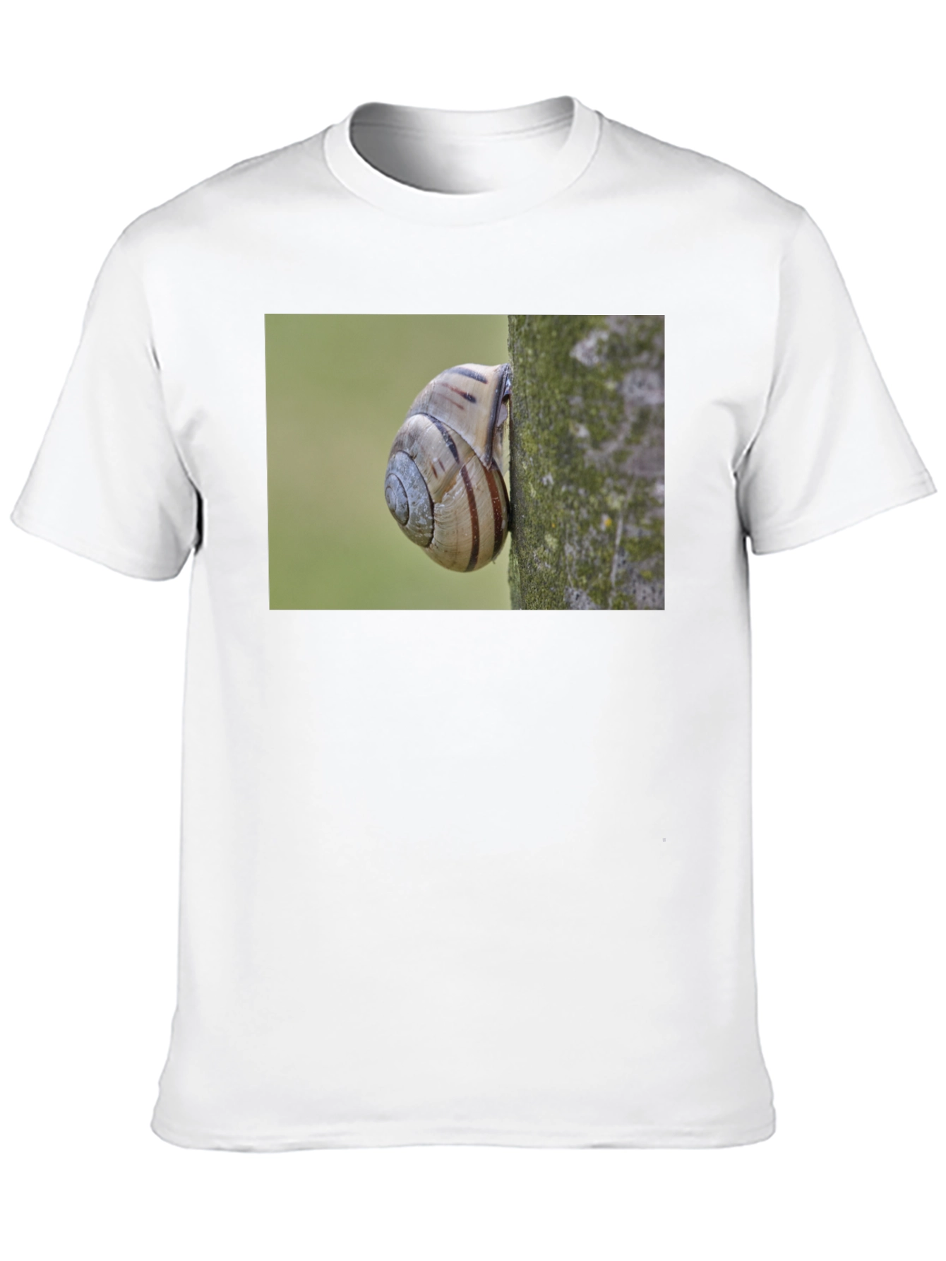 Snail on Tree Black T-Shirt