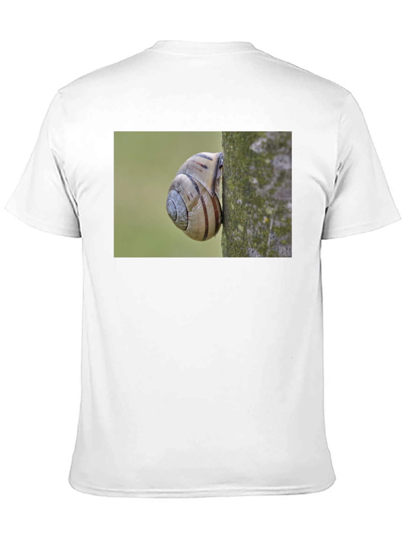 Snail on Tree Black T-Shirt