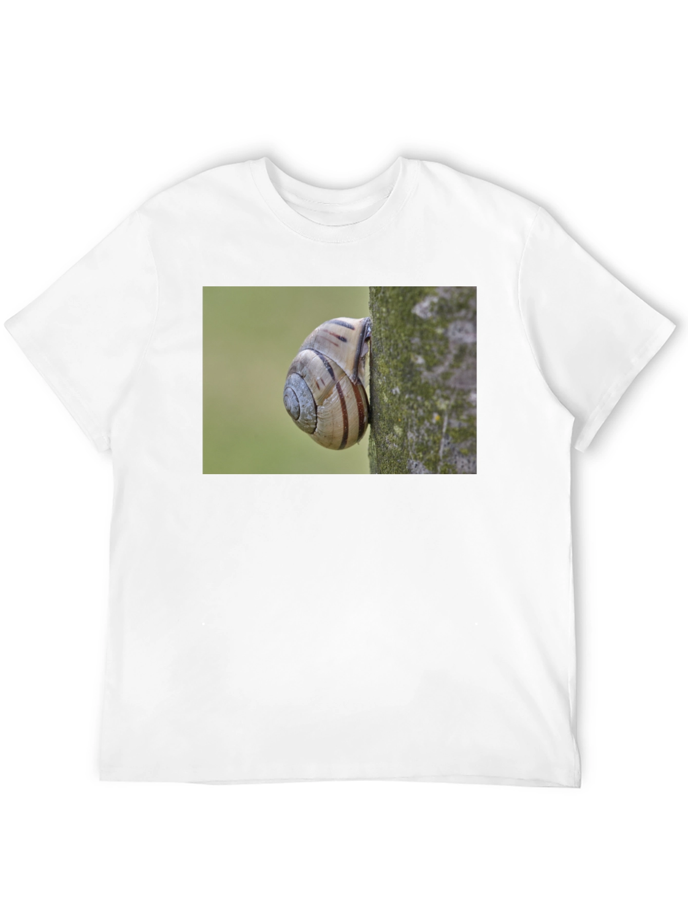 Snail on Tree Black T-Shirt