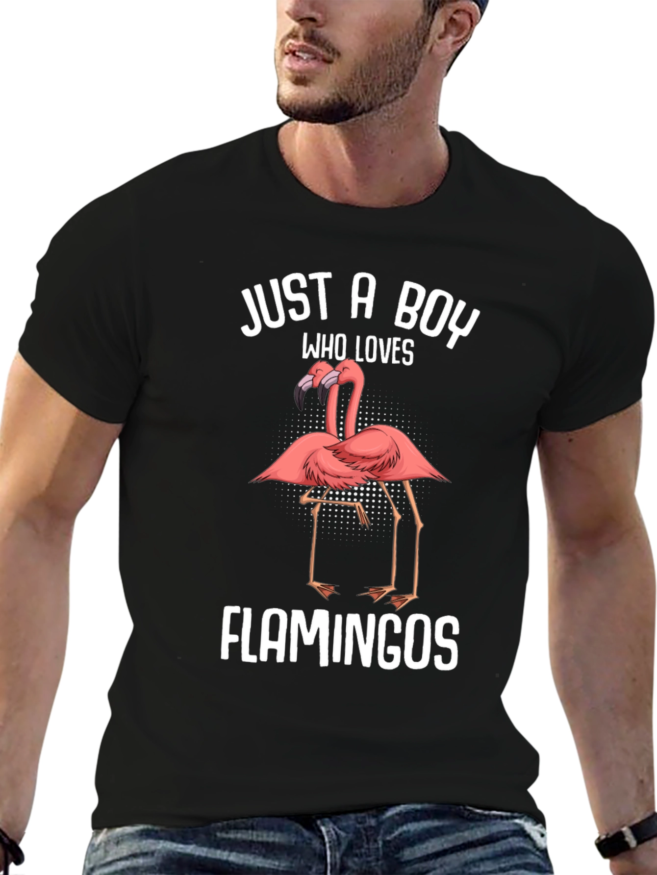 Just A Boy Who Loves Flamingos T-Shirt