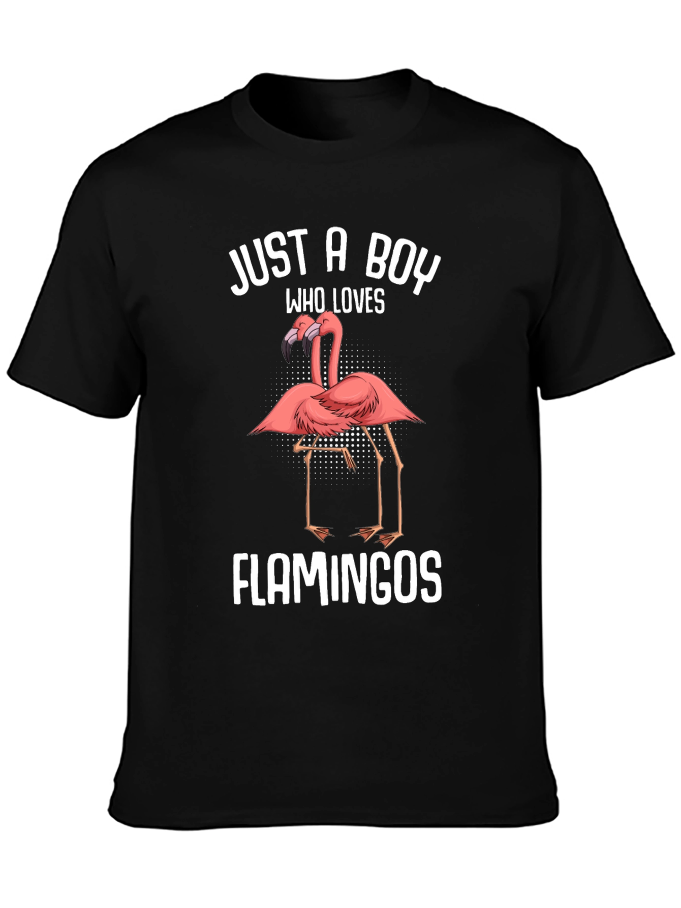 Just A Boy Who Loves Flamingos T-Shirt