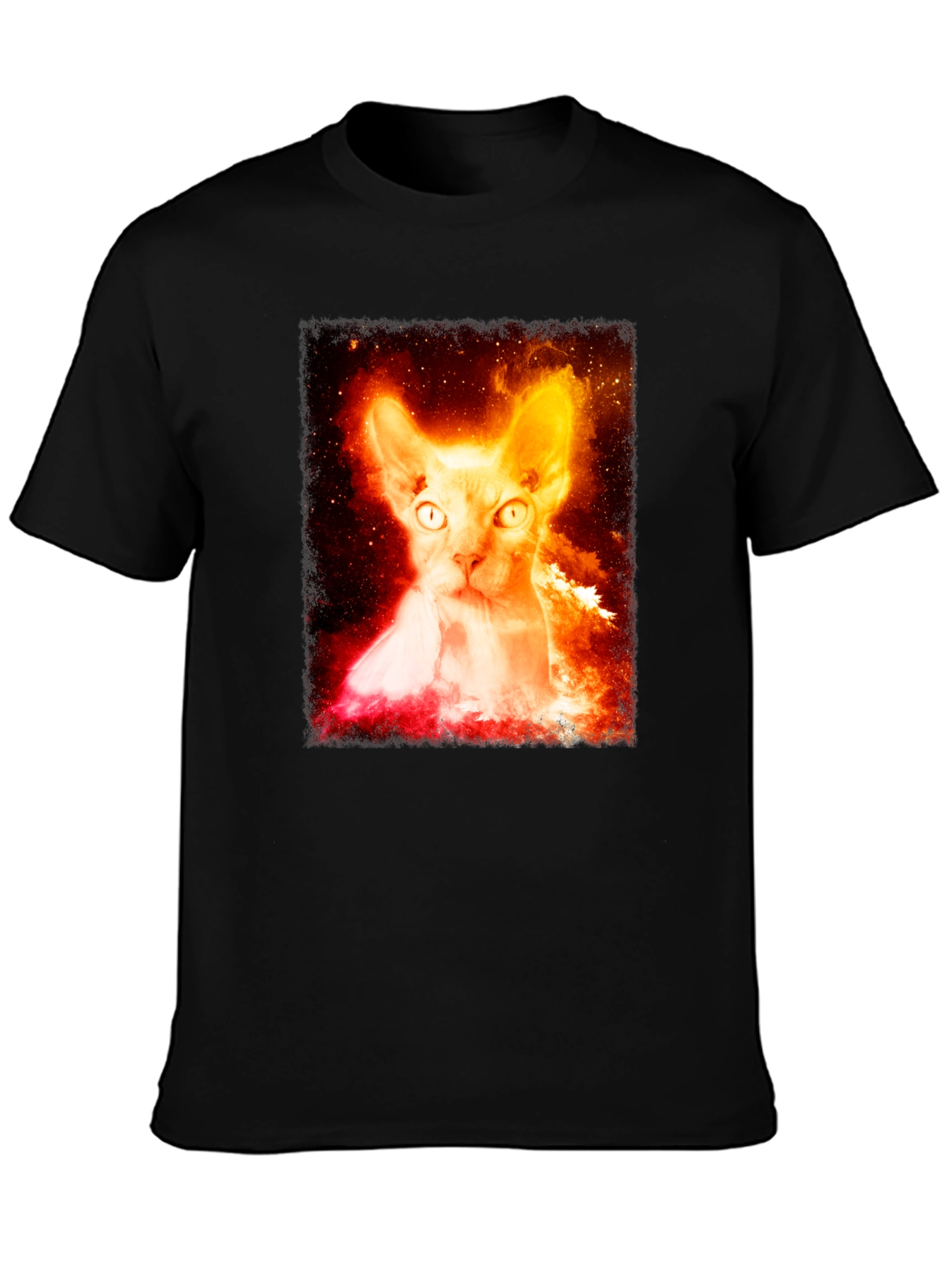 Sphynx Cat Galaxy Graphic Black T-Shirt