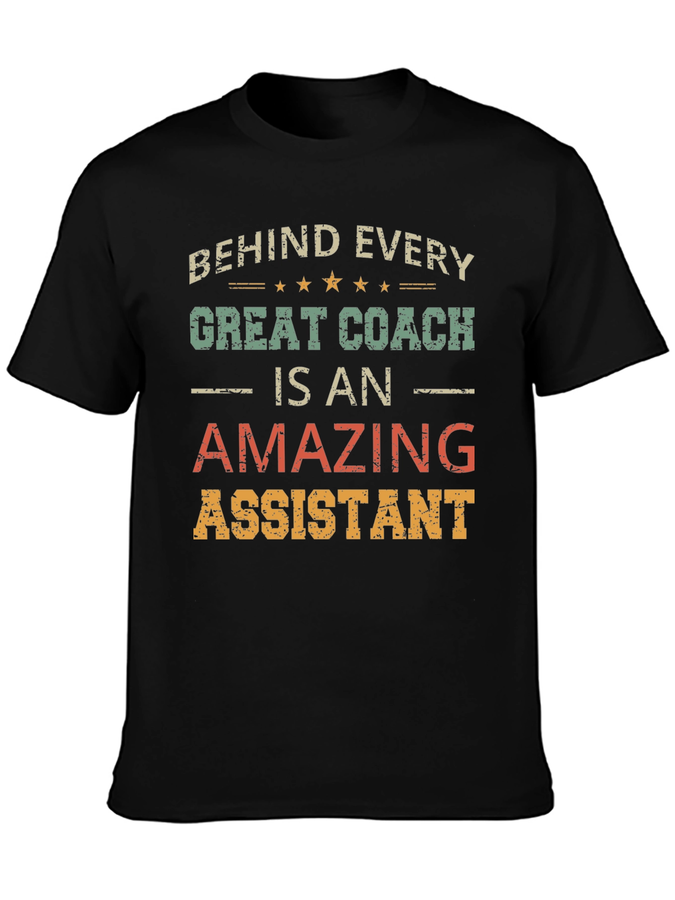 Behind Every Great Coach is an Amazing Assistant T-Shirt