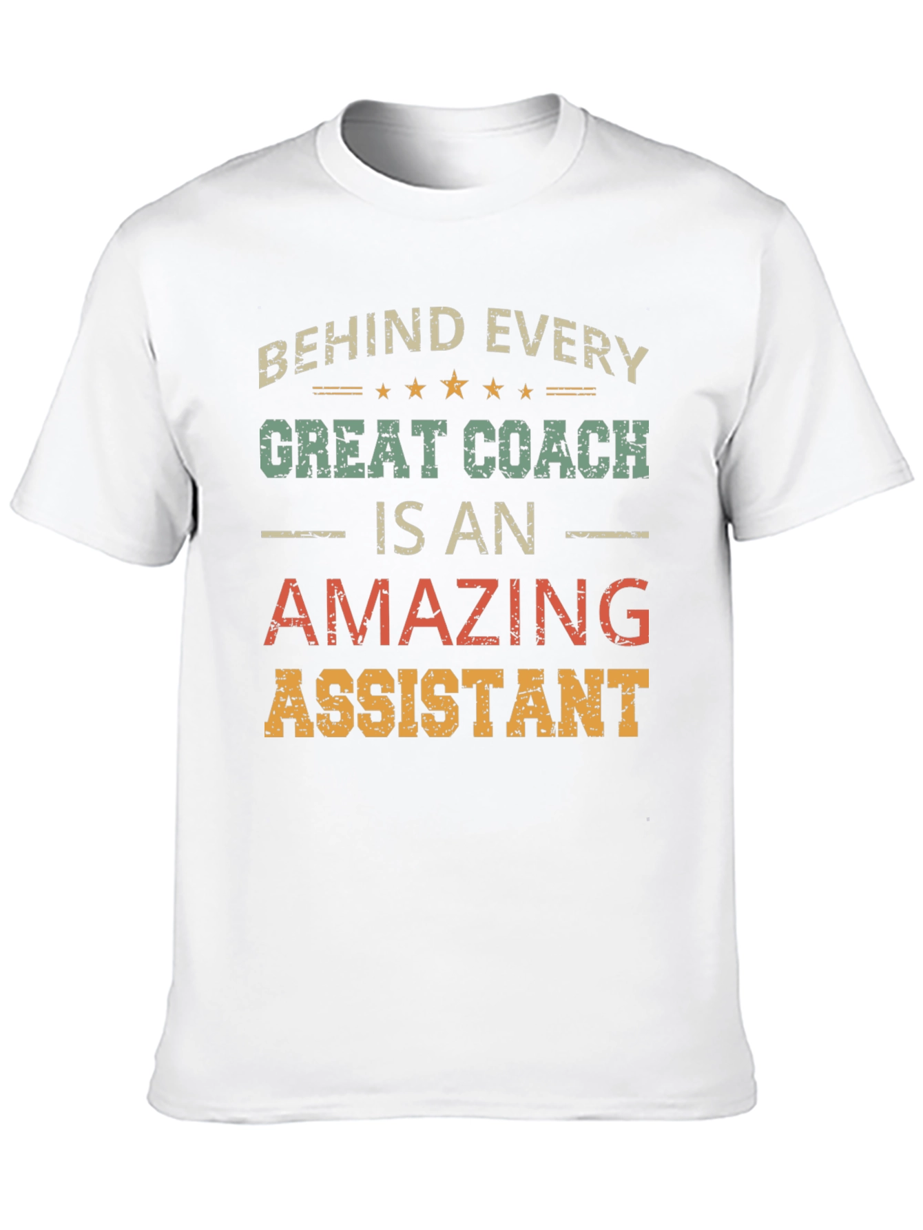 Behind Every Great Coach is an Amazing Assistant T-Shirt