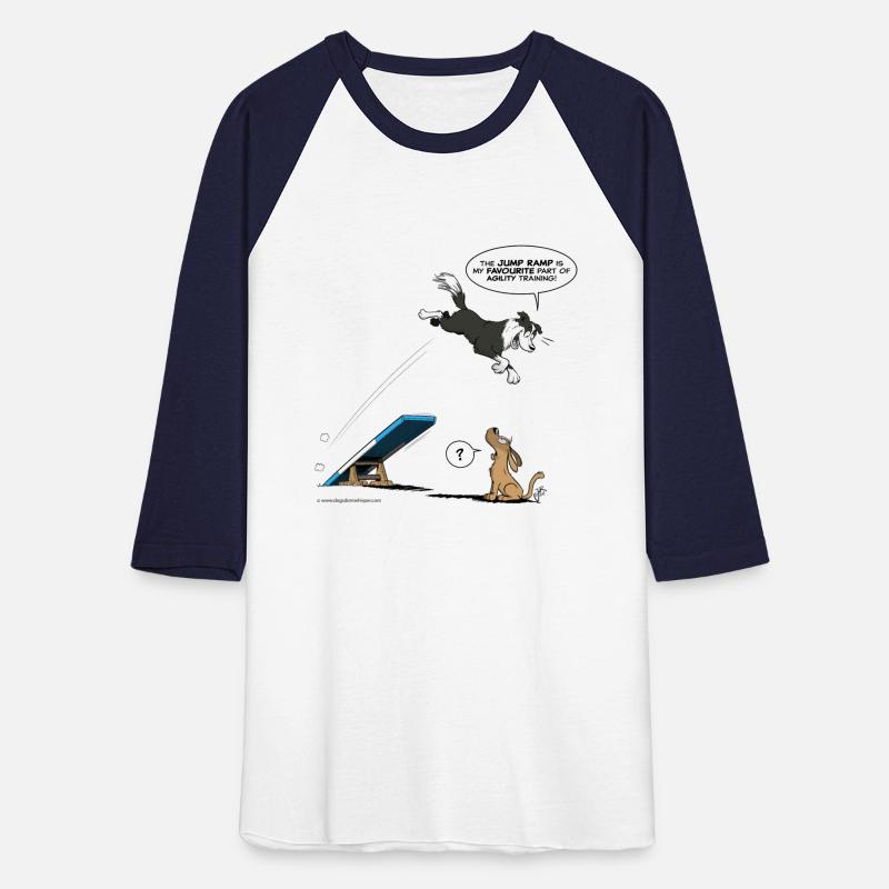 Border collie Agility