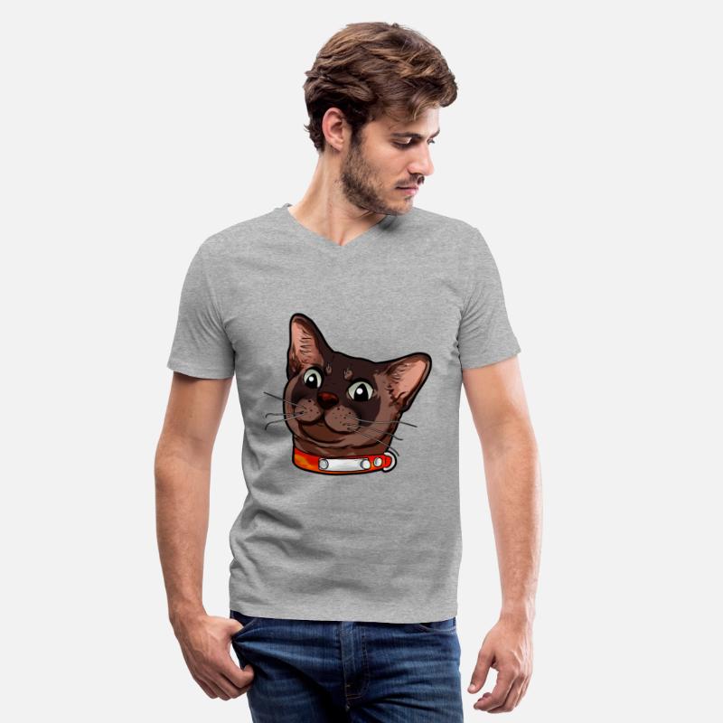 Burmese cat Kitty Cats Catface sweet cute present