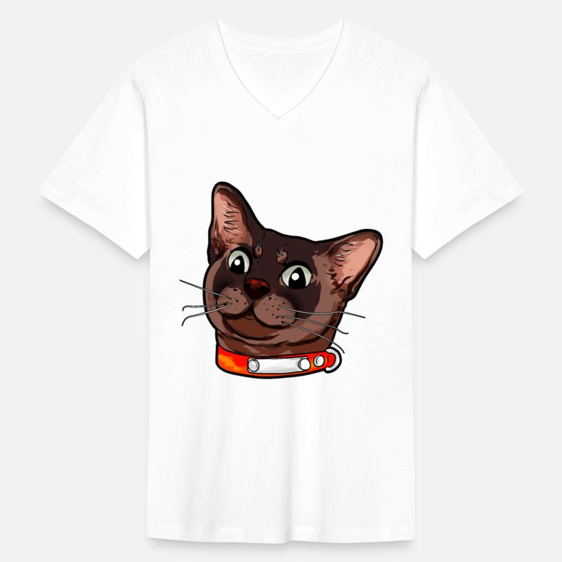 Burmese cat Kitty Cats Catface sweet cute present