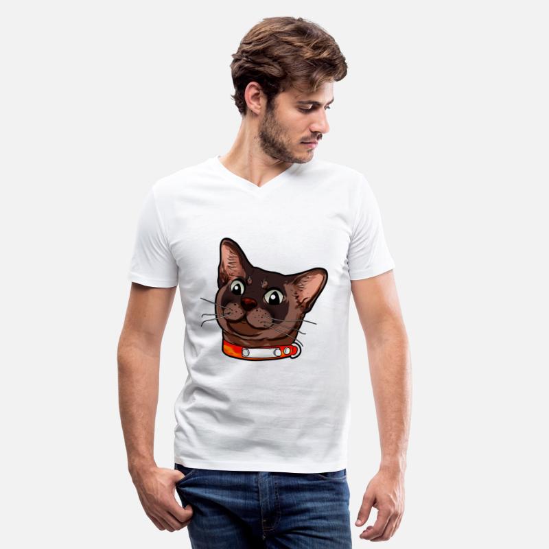 Burmese cat Kitty Cats Catface sweet cute present