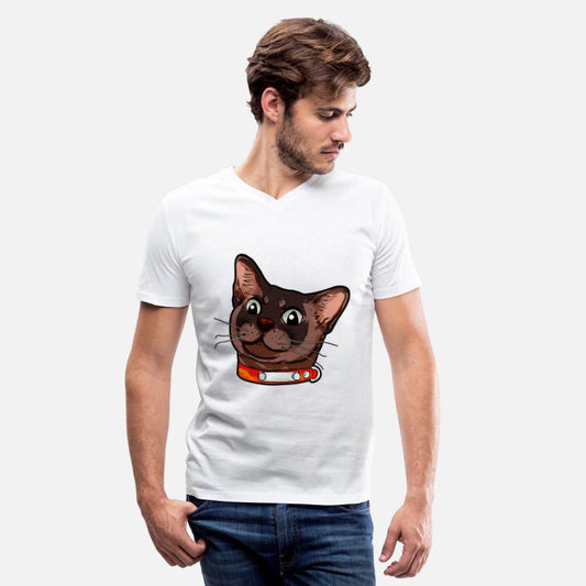 Burmese cat Kitty Cats Catface sweet cute present