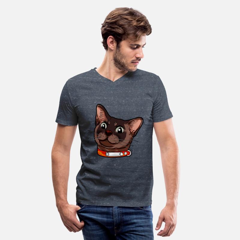 Burmese cat Kitty Cats Catface sweet cute present