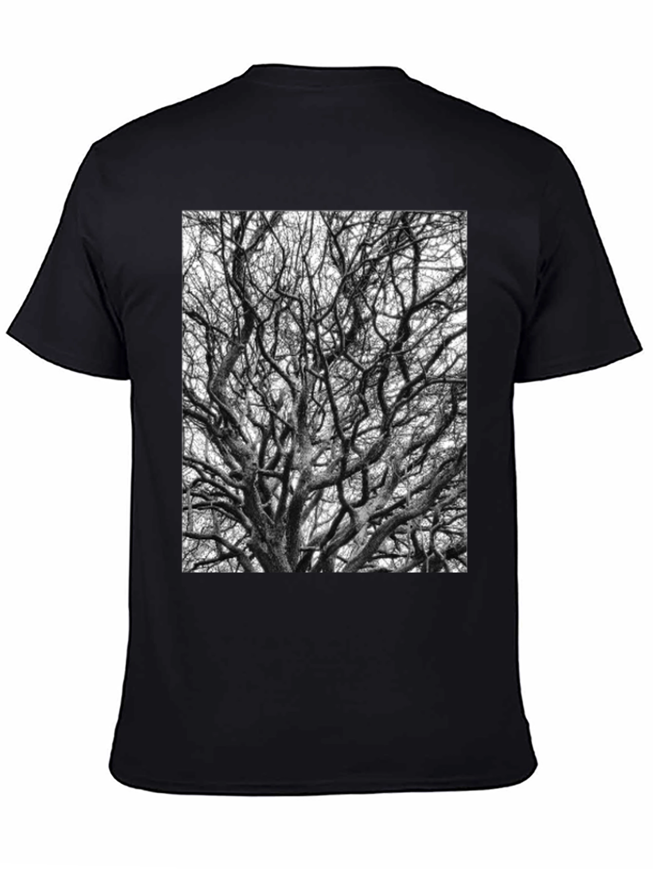 Black Tree Branches Graphic Tee
