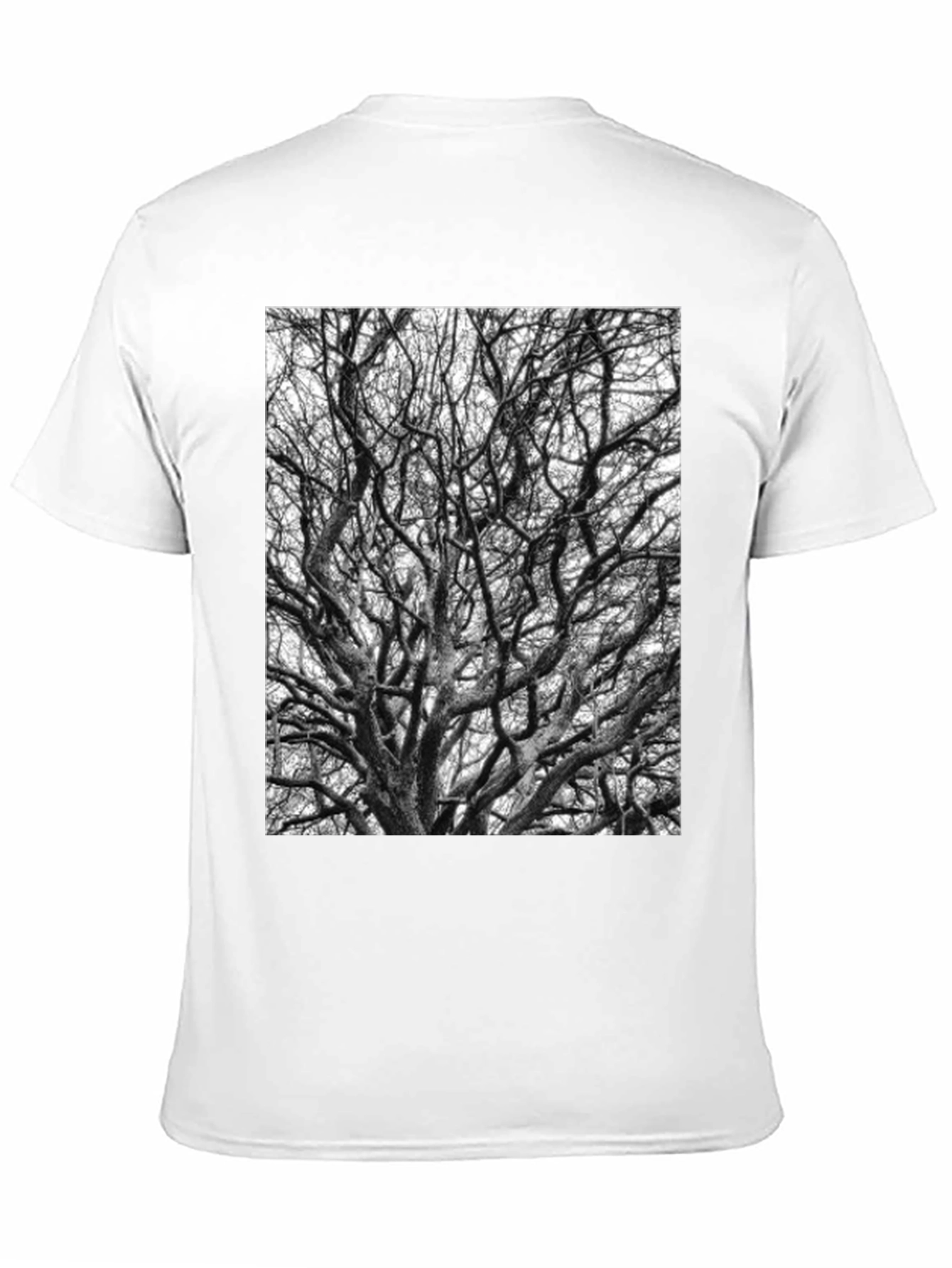 Black Tree Branches Graphic Tee
