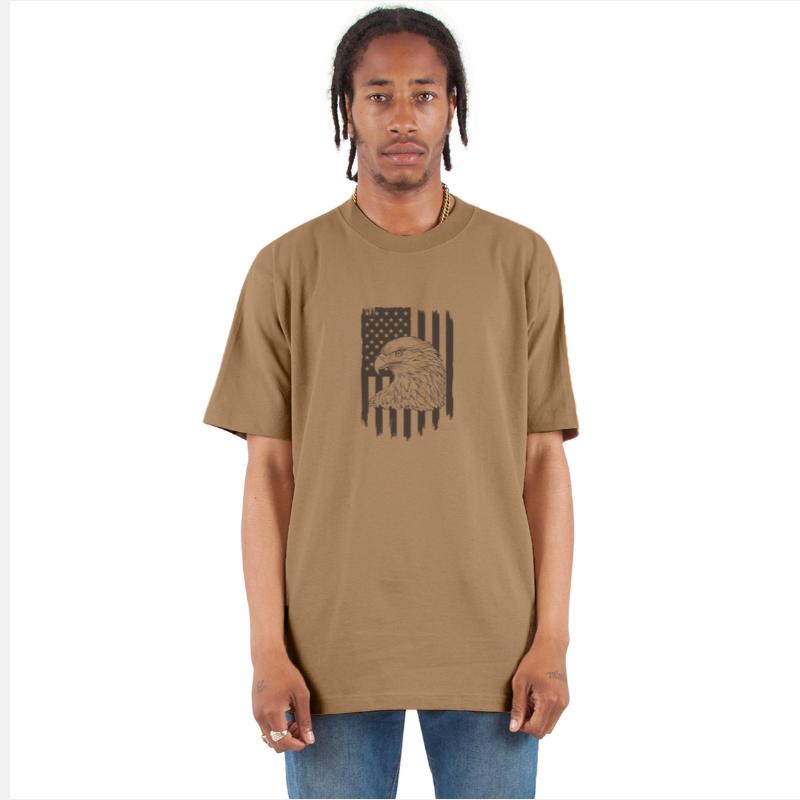 Eagle With American Flag