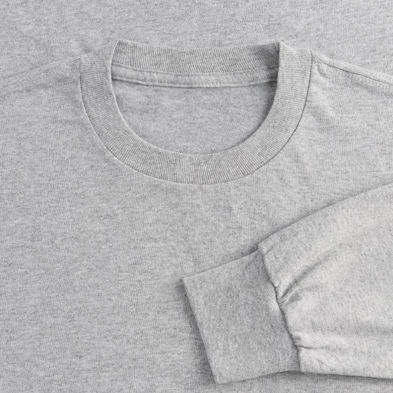 house fly group team