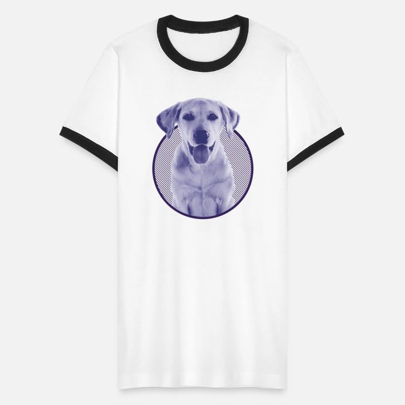 labrador