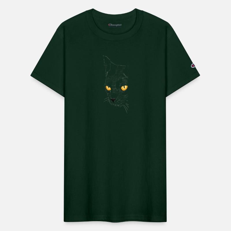 Mysterious Black Cat