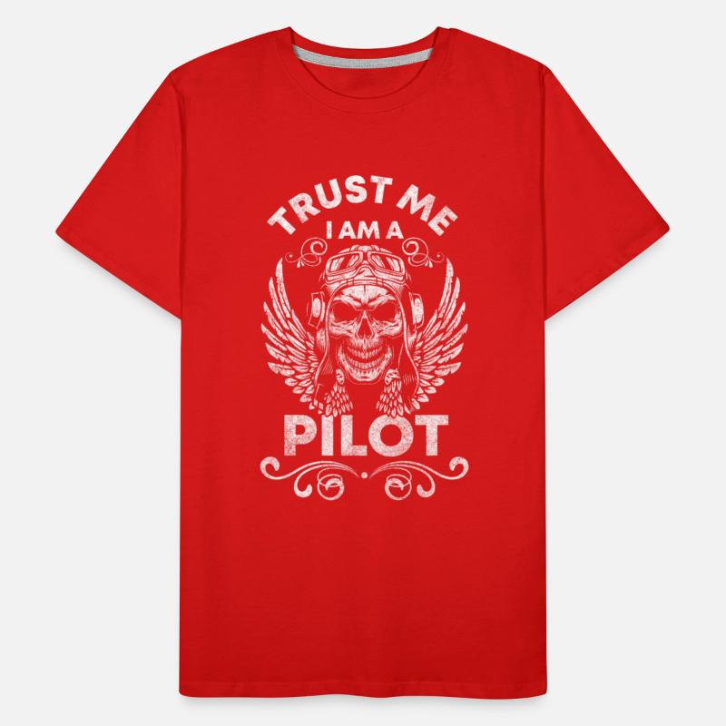Pilot Jet Model Aircraft