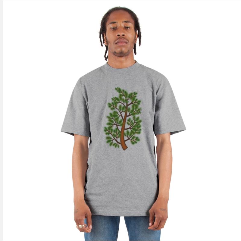 Pine tree branch