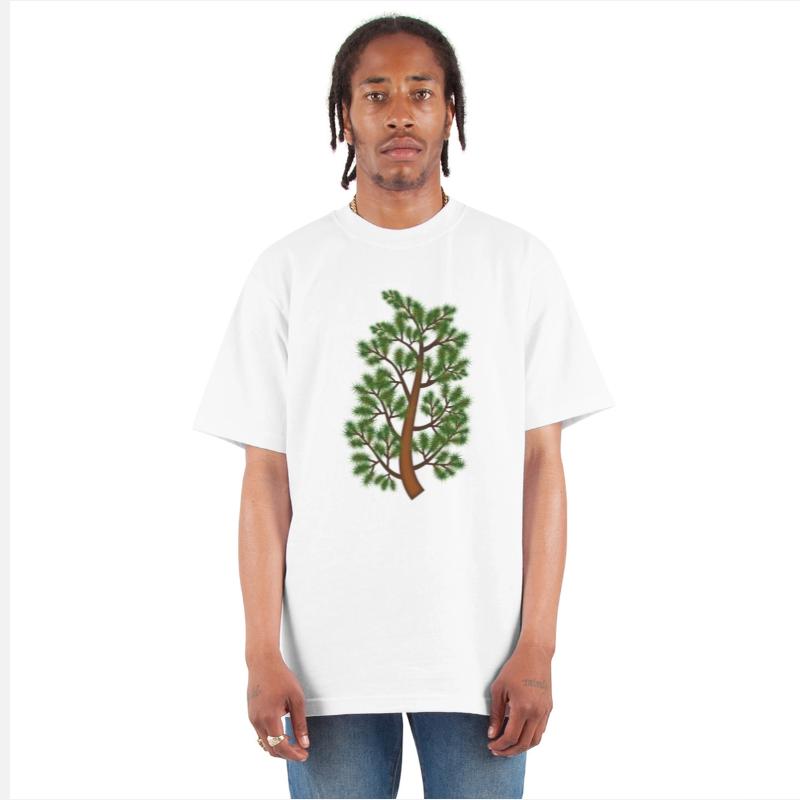 Pine tree branch
