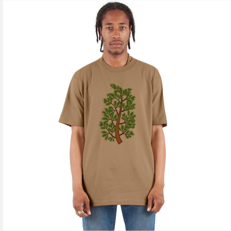 Pine tree branch