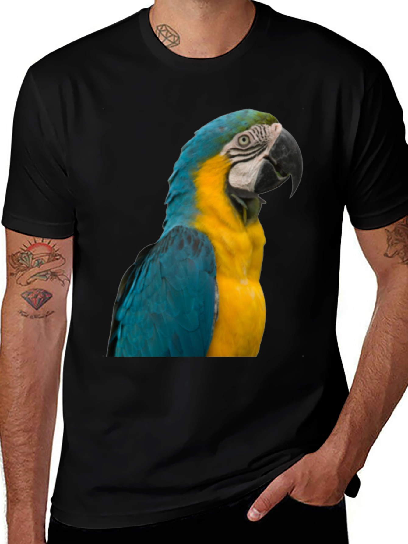 Macaw Parrot Graphic T-Shirt - Bold Bird Design