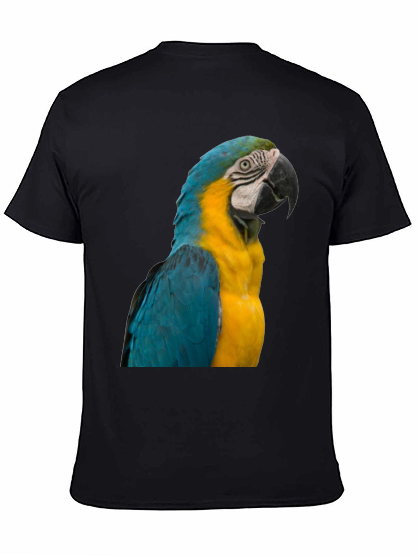 Macaw Parrot Graphic T-Shirt - Bold Bird Design