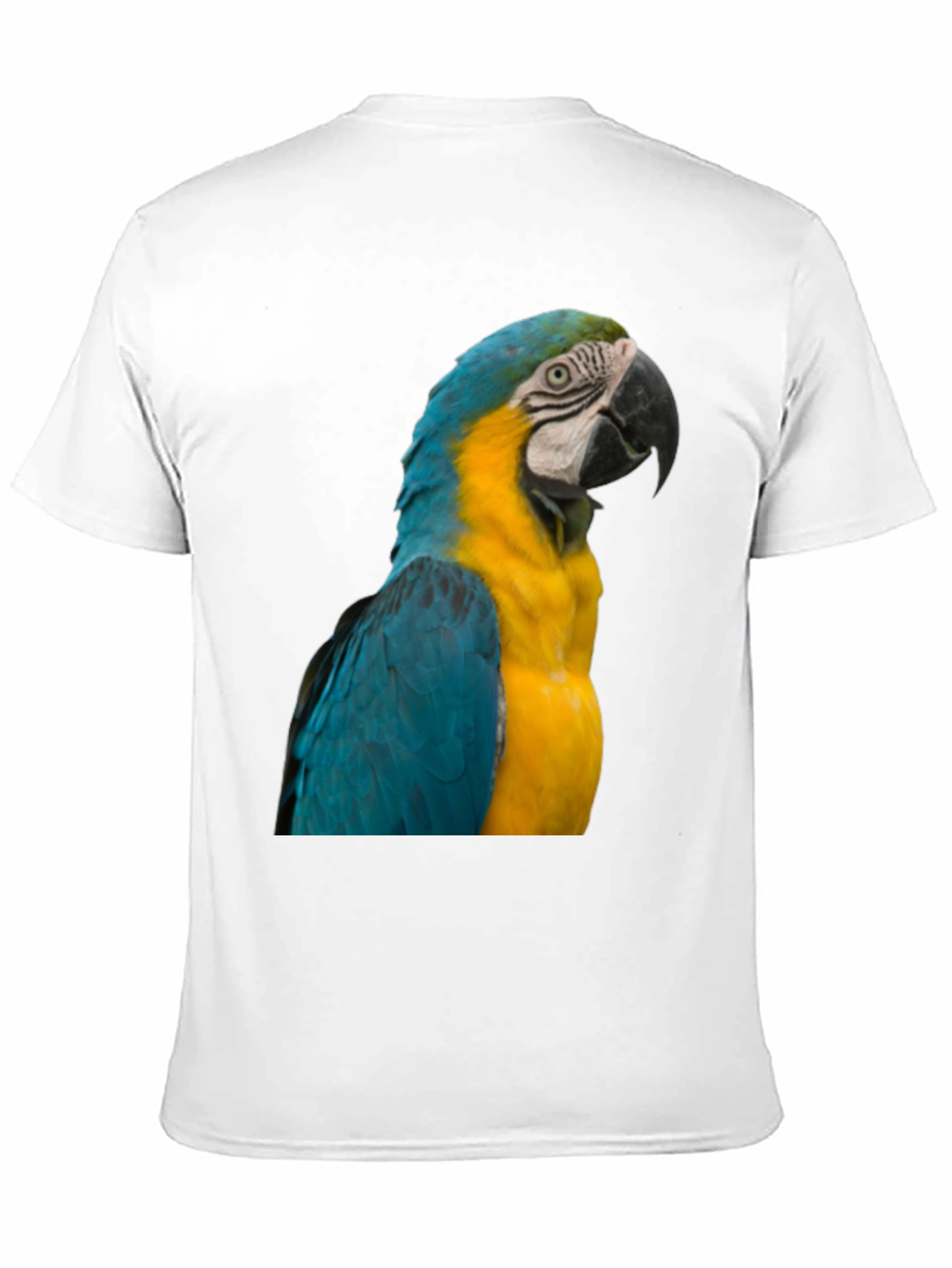 Macaw Parrot Graphic T-Shirt - Bold Bird Design