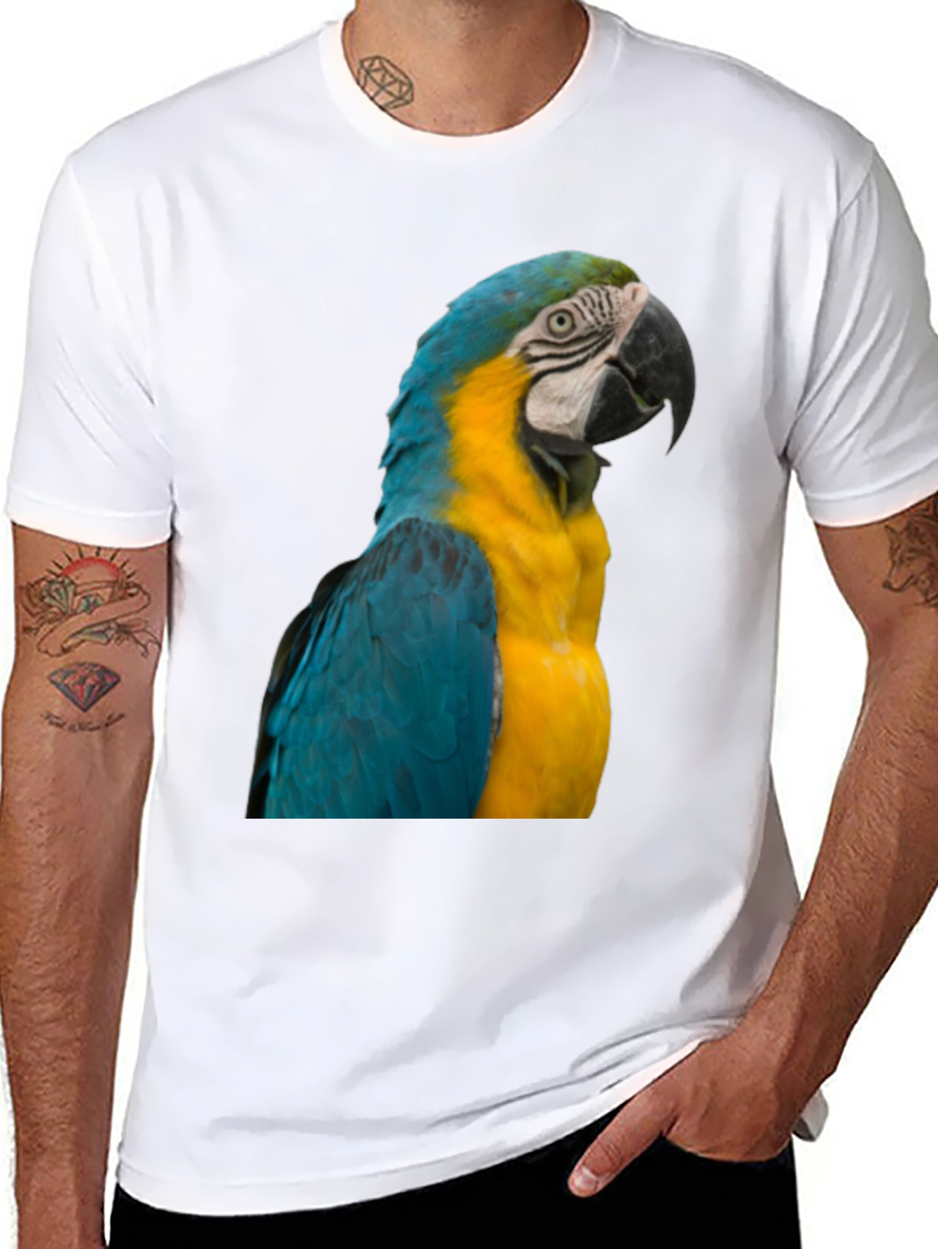 Macaw Parrot Graphic T-Shirt - Bold Bird Design