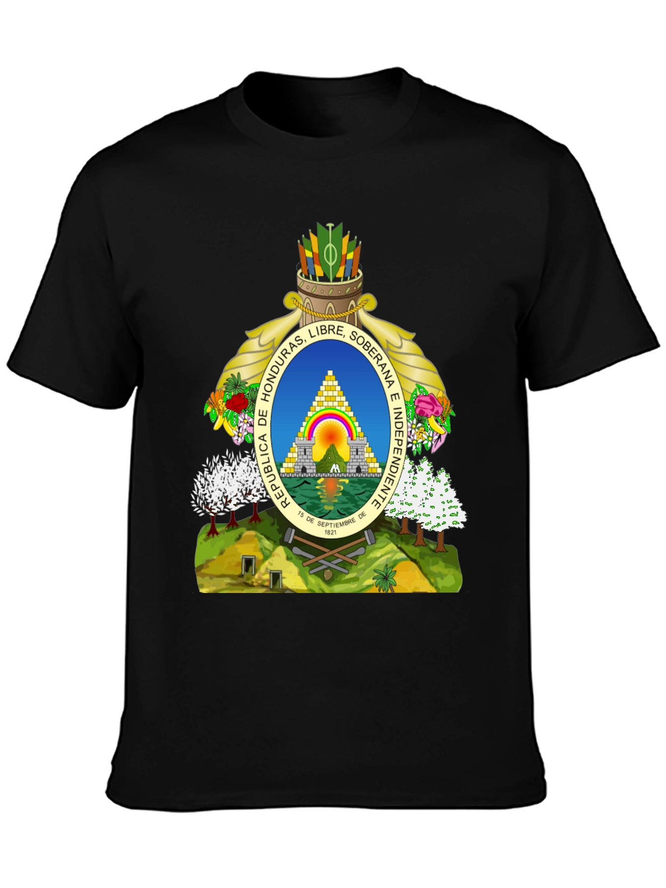 Honduras Flag Graphic T-Shirt