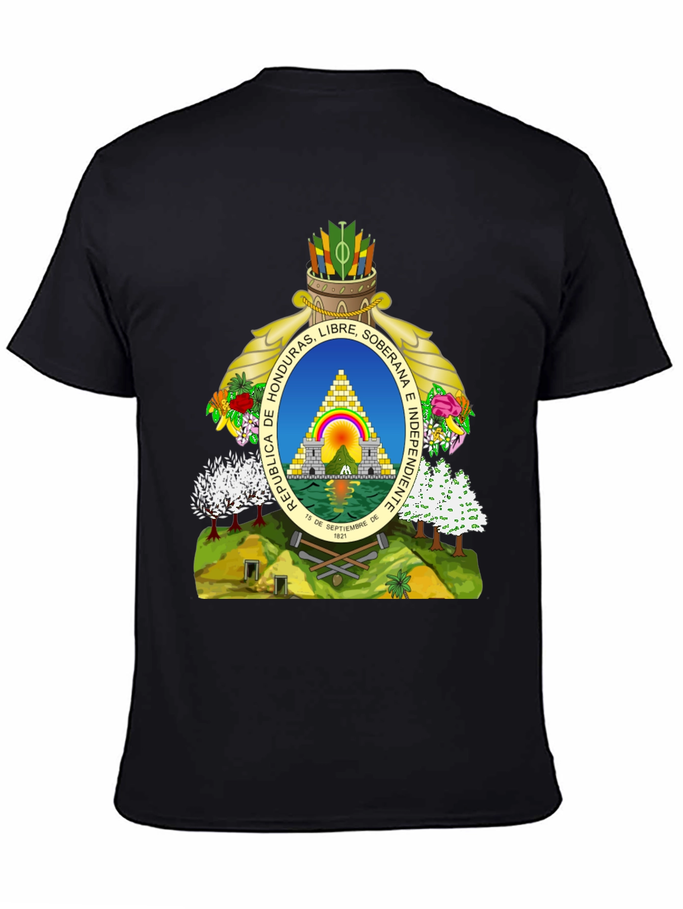 Honduras Flag Graphic T-Shirt