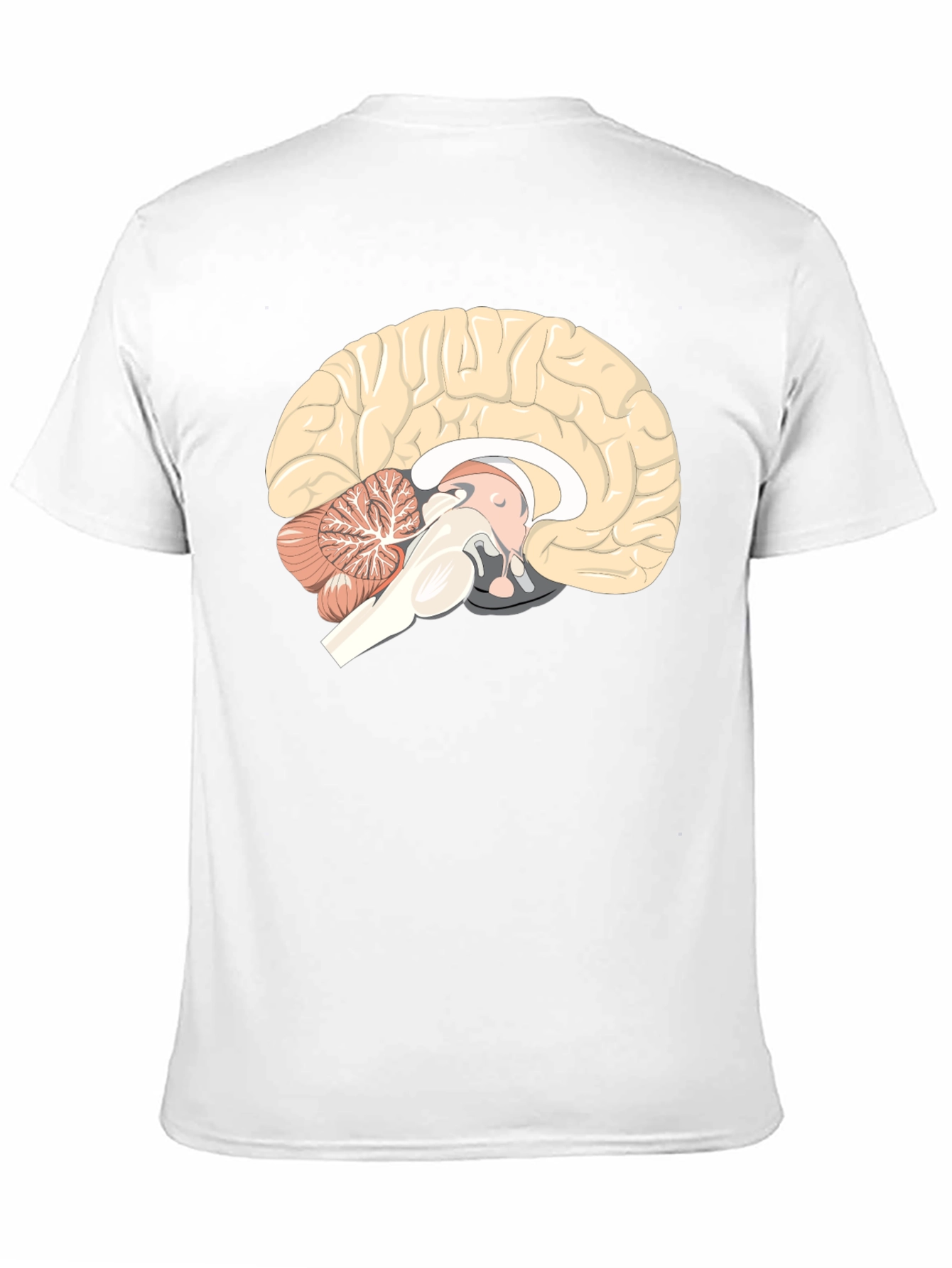 Brain Anatomy Graphic Print Black T-Shirt