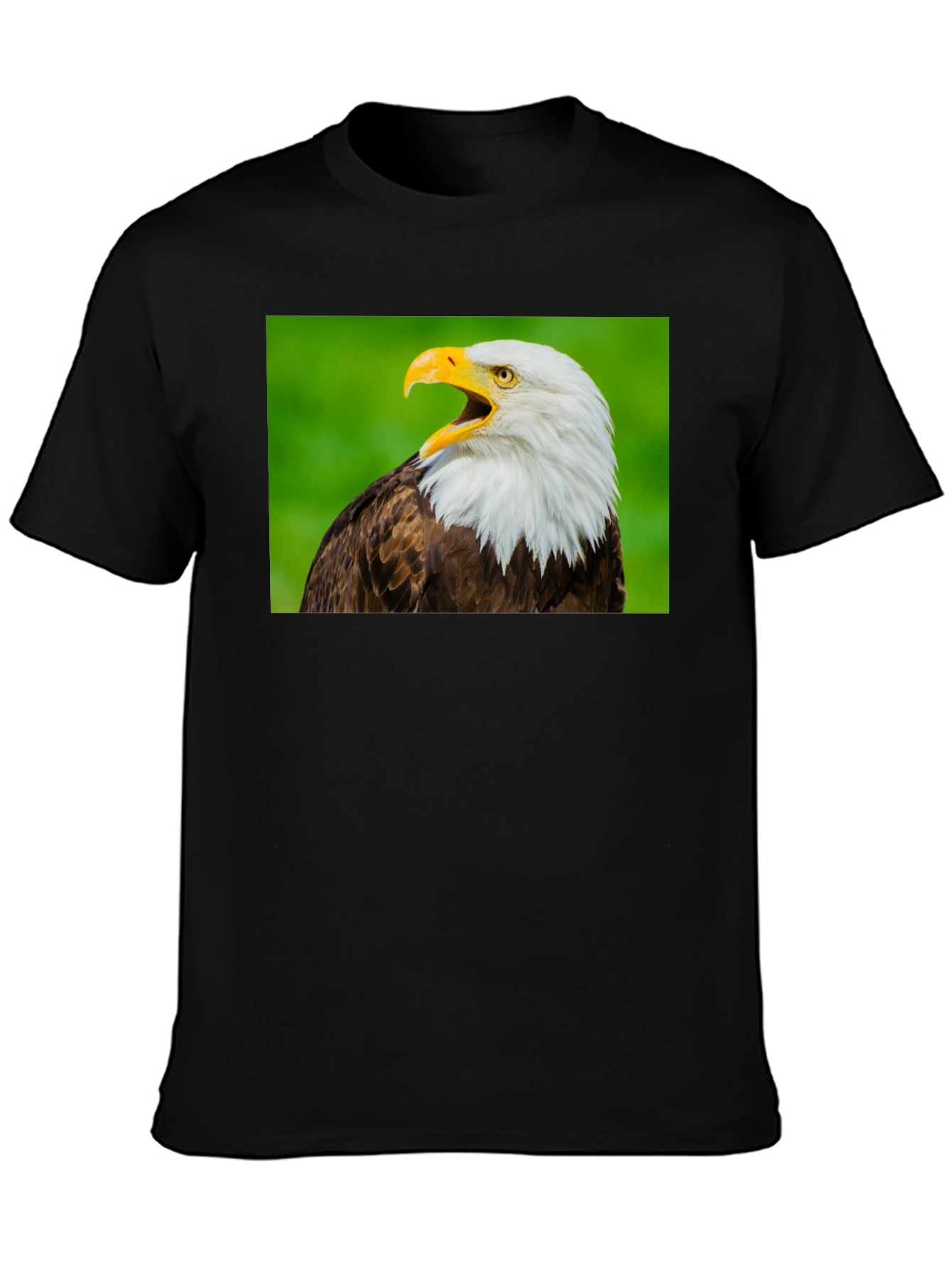 Bald Eagle Graphic Tee - Patriotic Bird Lover